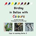 Birding in Belize with Colours
