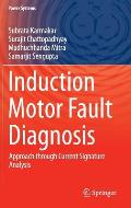 Induction Motor Fault Diagnosis: Approach Through Current Signature Analysis