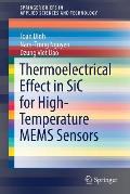 Thermoelectrical Effect in Sic for High-Temperature Mems Sensors