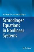 Schr?dinger Equations in Nonlinear Systems