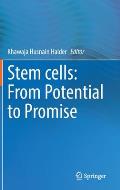 Stem Cells: From Potential to Promise