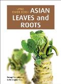 Little Guide Book Asian Leaves & Roots