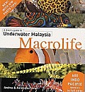 Macrolife A Divers Guide to Underwater Malaysia