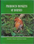 Proboscis Monkeys of Borneo