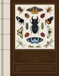 Insectile Inspiration Insects in Art & Illustration