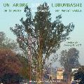 De la photo ? la photographie: Un arbre sur la Lubumbashi