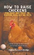 How To Raise Backyard Chickens For Eggs And Meat Or, Keeping Poultry As Pets Discover 10 Quick Tips On Raising Hens And 20 Fun Facts About Chickens