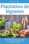 Plantation de l?gumes: Les meilleures techniques et les secrets pour une abondance de l?gumes dans le potager domestique