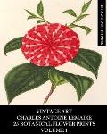 Vintage Art: Charles Antoine Lemaire: 25 Botanical Flower Prints: Volume 1