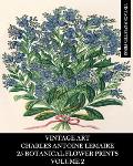 Vintage Art: Charles Antoine Lemaire: 25 Botanical Flower Prints: Volume 2