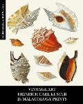 Vintage Art: Heinrich Carl Kuster: 24 Malacology Prints: Seashell Ephemera for Framing, Collages, and Scrapbooks