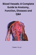 Blood Vessels: A Complete Guide to Anatomy, Function, Diseases and Q&A