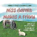 Animal Friends of Harmony Lane: Miss Garnett Makes A Friend