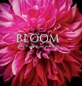 Bloom: Flower Photography by Chris Miller