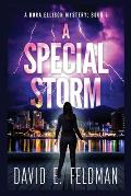 A Special Storm: Crime Fiction Novels (A Dora Ellison Mystery Book 5)