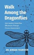Walk Among the Dragonflies: How Leaders Streamline Efficiencies Through Process Improvement