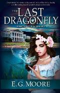 The Last Dragonfly: A Young Adult Fantasy Novel