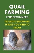Quail Farming For Beginners: The Most Important Things You Need To Know