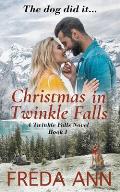 Christmas in Twinkle Falls