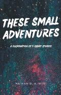 These Small Adventures