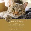 Pawverbs for a Cat Lover's Heart: Inspiring Stories of Feistiness, Friendship, and Fun