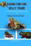 Caring for Fire Belly Toads: A Complete Guide to Keeping Them as Pets