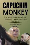 Capuchin Monkey: All You Need To know About Capuchin Monkeys Training, Nutrition, Interaction, Habitat, Breeding, Health And Cost