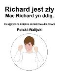 Polski-Walijski Richard jest zly / Mae Richard yn ddig. Dwujęzyczna książka obrazkowa dla dzieci