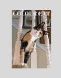 Colour cat: This book is for adults and kids and for those that has eye related problems