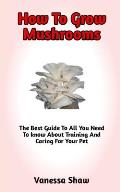 How To Grow Mushroom: A Comprehensive Guide On How To Grow Mushrooms And Everything You Need To Know