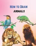 How To Draw Cute Animals Book: A Great Book For Beginners To Intermediate Drawers