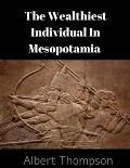 The Wealthiest Individual In Mesopotamia: Albert Edition On The History Of Mesopotamia