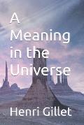 A Meaning in the Universe