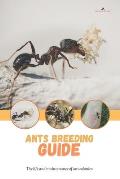 Ants breeding guide: The life and maintenance of ant colonies