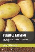 Potatoes Farming: Learn how to plant potatoes from varieties to harvesting