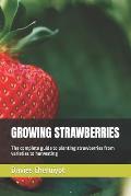 Growing Strawberries: The complete guide to planting strawberries from varieties to harvesting