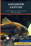 Aquarium Catfish: 10 Best Aquarium Catfish Species (With Pictures)