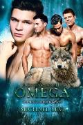 Fighting for the Omega: Gay MPREG Harem Romance