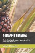Pineapple Farming: The beginner's guide to planting pineapples from varieties to harvesting