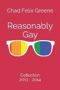 Reasonably Gay: Collection: 2013-2014