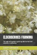 Elderberries Farming: The beginner's guide to growing elderberries from varieties to harvesting