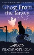 Ghost from the Grave: A Midlife in Castleberry Paranormal Cozy Mystery