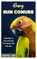 Raising Sun Conure: Learn how to raise and train sun Conure the best way