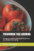 Persimmon Tree Growing: The beginner's guide to growing persimmon trees from varieties to harvesting