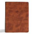 CSB Men of Character Bible, Revised and Updated, Brown Leathertouch