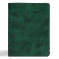 CSB Men of Character Bible, Revised and Updated, Forest Leathertouch