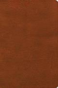 CSB Giant Print Reference Bible, Digital Study Edition, Burnt Sienna Leathertouch