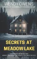 Secrets At Meadow Lake: A gripping and suspenseful psychological thriller