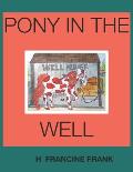 Pony In The Well
