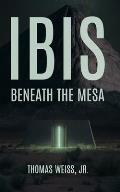 Ibis Beneath The Mesa